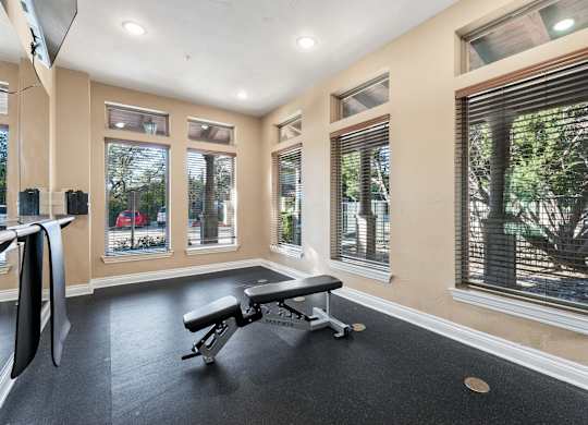 Fitness Center at Bridge at Heritage Woods, Texas