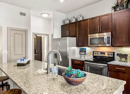 A kitchen with a granite countertop and a bowl of succulents on it. at The Royce at 8100, Austin, TX, 78729