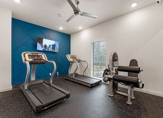 A gym with treadmills, a stationary bike, and a rowing machine.