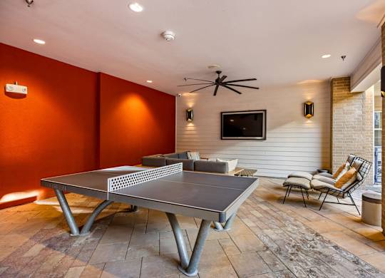 Ping Pong Table at Bridge at Henley, Austin