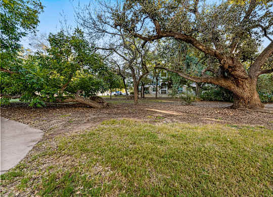 Green Space at Bridge at Indigo, Austin, 78717