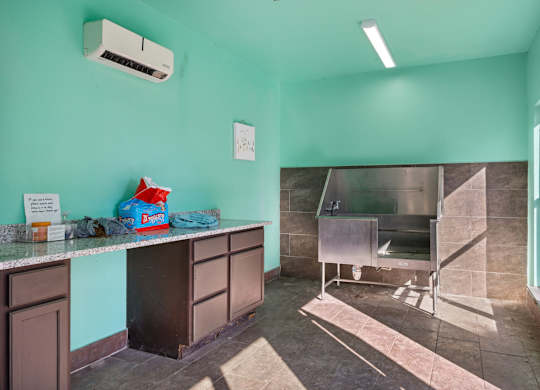 Pet Spa at Bridge at Southpark Meadows, Texas