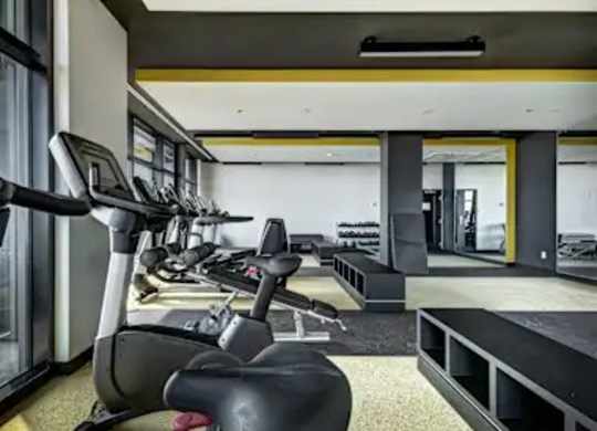 A gym with treadmills and elliptical machines.