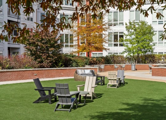 A lawn with chairs and a tree in front of a building.