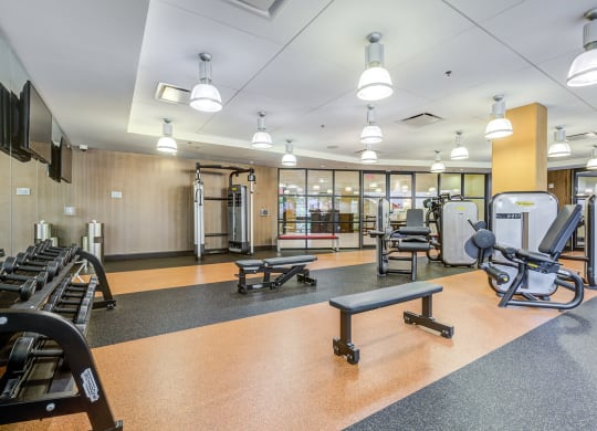 Image showing precision meets endurance. High-performance free weights and machines in a motivating setting.