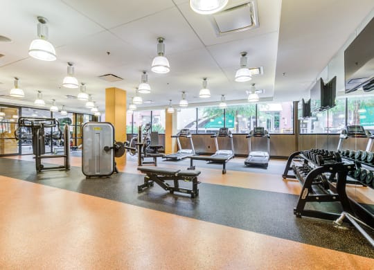 Image showing power your performance. Open gym layout with strength and cardio equipment for every goal.