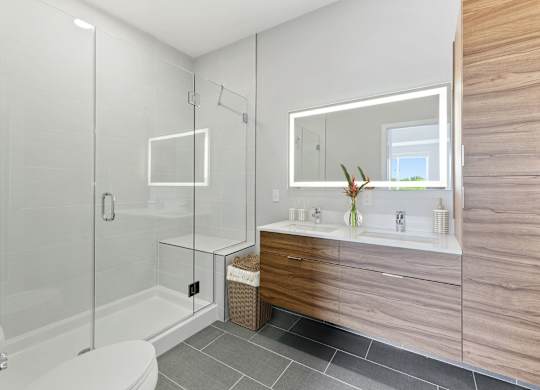 A modern bathroom with a walk-in shower, a toilet, a sink, and a mirror.