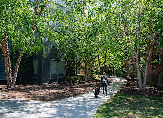 Walking Trail