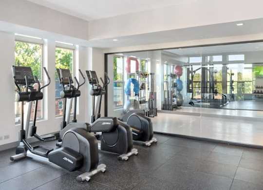 A gym with treadmills and exercise equipment.