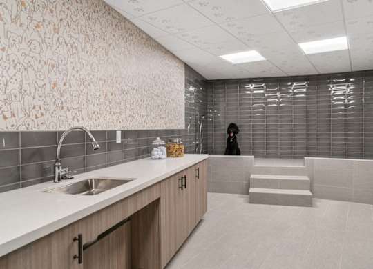 A woman in a black hijab stands in a modern kitchen.