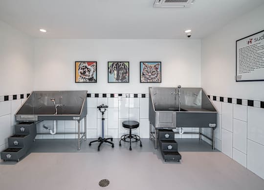 A room with two sinks and a stool in the middle.