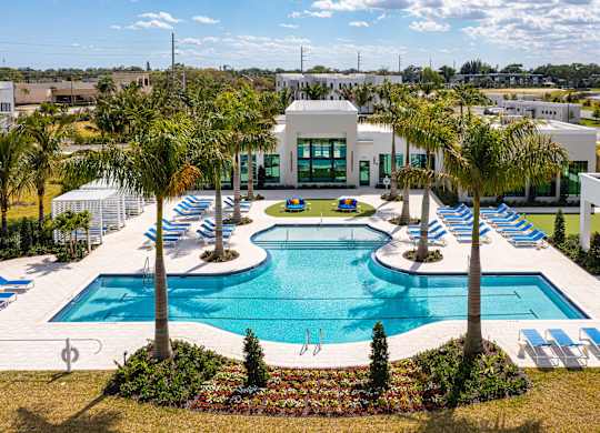 A large swimming pool surrounded by palm trees and lounge chairs.