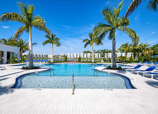A swimming pool surrounded by palm trees and lounge chairs.