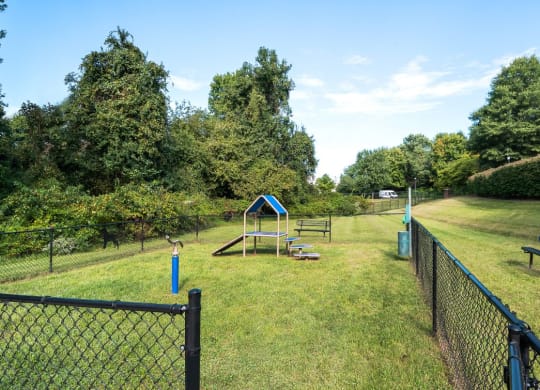 a view of the dog park