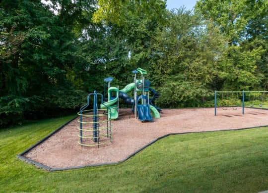 a playground with slides and monkey bars in a park