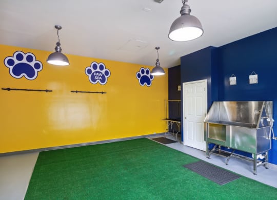 a large room with a green carpet and blue and yellow walls