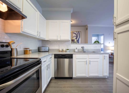 Apartment kitchen