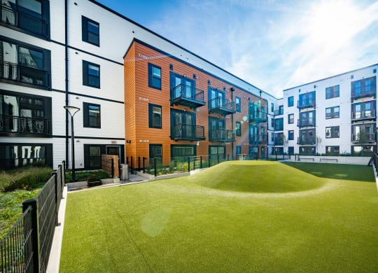 Expansive dog park with turf