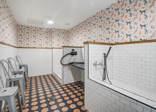 Pet wash room with grooming equipment