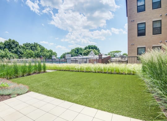 Rooftop with grass