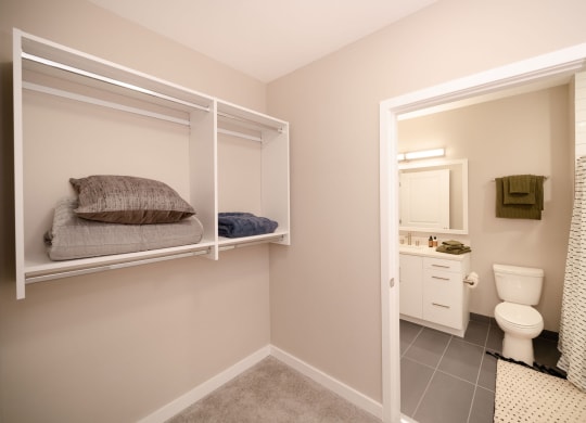 View from walk-in closet to bathroom