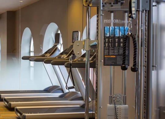 A gym with treadmills, weights and exercise equipment.