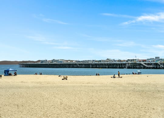 people on the beach and the pier at the oceanside