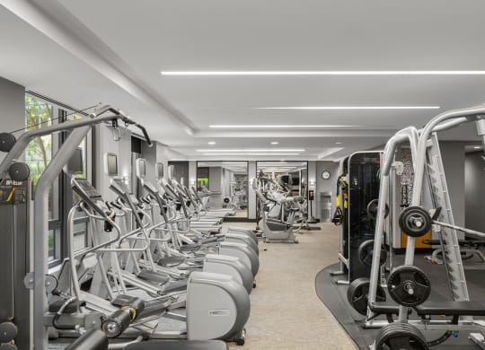an image of a gym with cardio equipment