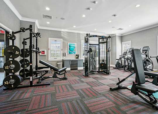 A gym with a variety of equipment including a squat rack, bench press, and a treadmill.