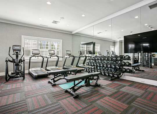 A gym with a variety of equipment including treadmills, stationary bikes, and weight machines.