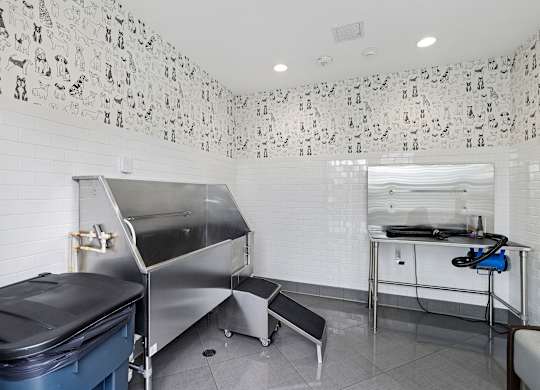 Pet wash station