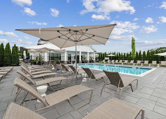 Pool loungers and umbrellas