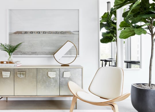 Living room with chic decorations
