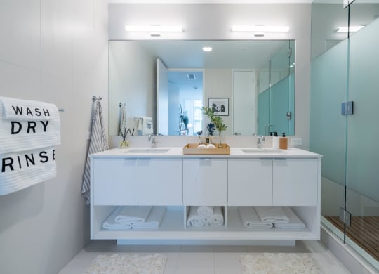 Bathroom with large mirror, counter space, and standing shower