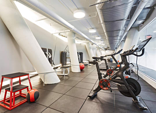 Fitness center showcasing cardio bikes
