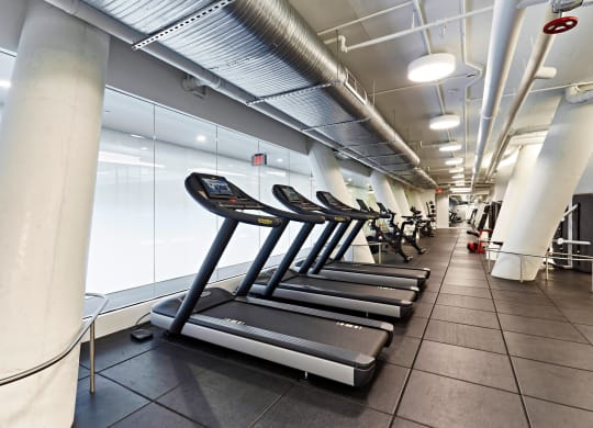 Expansive gym showcasing cardio equipment