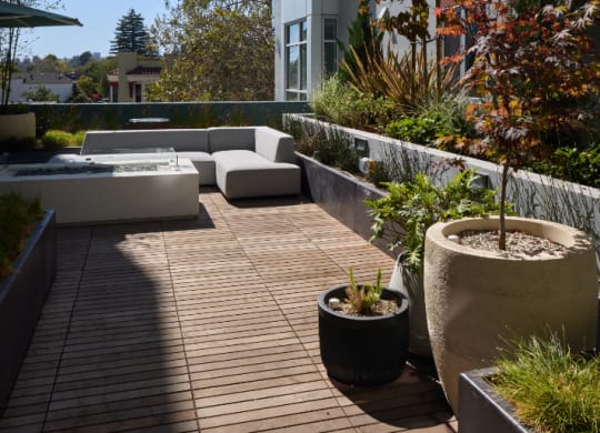 Courtyard