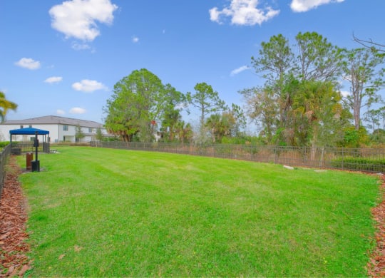community green space at Fiore Townhomes, Florida