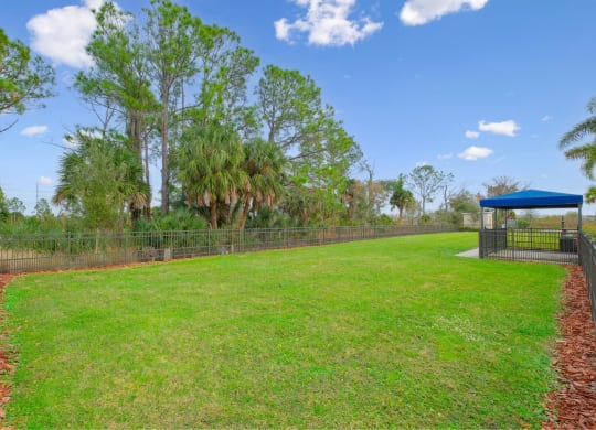 green space at Fiore Townhomes, Florida, 34275