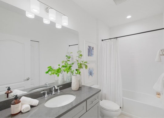 Updated Bathrooms at Fiore Townhomes, Venice, FL, 34275