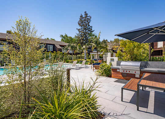 A pool surrounded by trees and plants.
