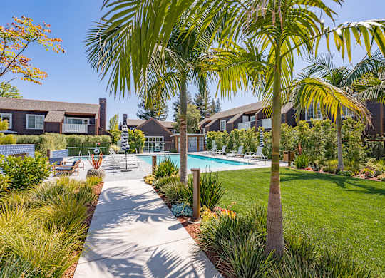 A pathway leads to a pool surrounded by palm trees and residential houses.
