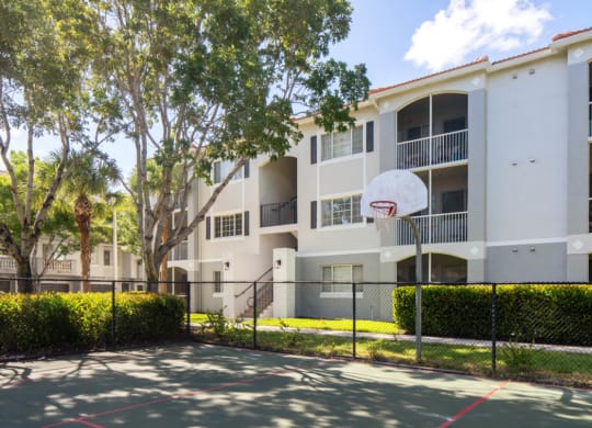 Basketball court