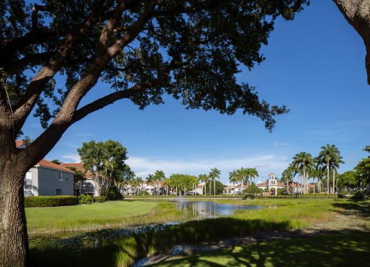 Lake view