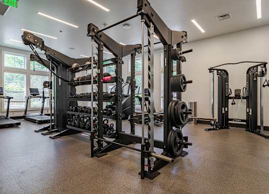 A gym with a variety of equipment including treadmills, weight machines, and free weights.