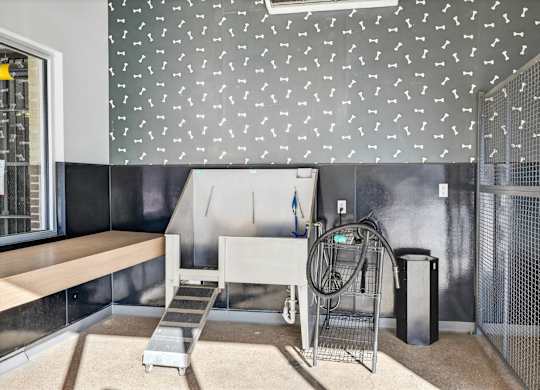Luxury apartment pet spa with washing stations and pet-friendly design.
