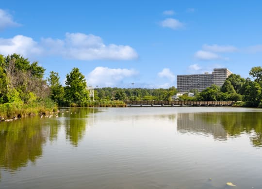 a body of water with trees and a bridge     and a building