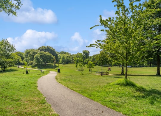 a path through a park with grass and trees