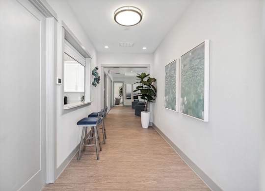 A long hallway with a bench and a plant.