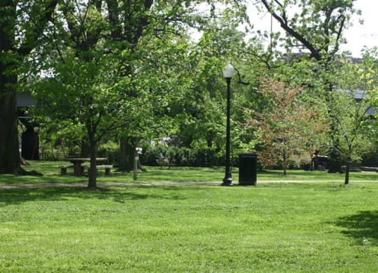 a park with trees and a lamp post